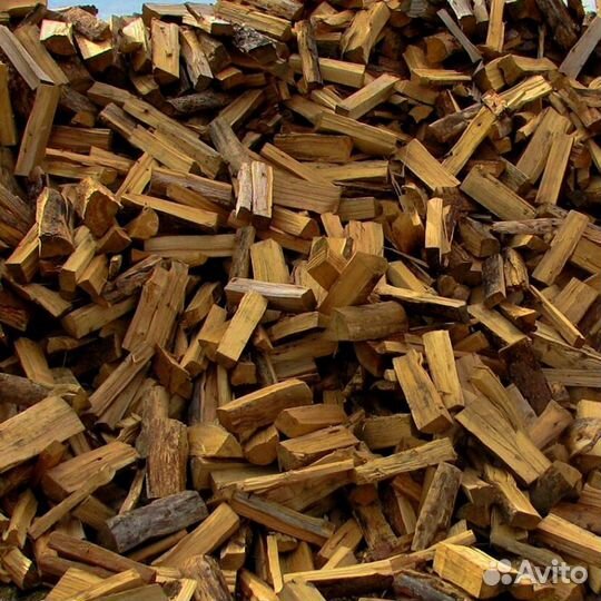 Дрова свежие