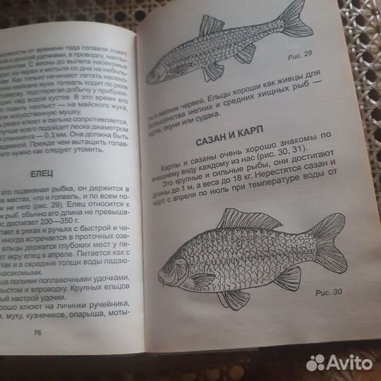 Книги о рыбалке для детей