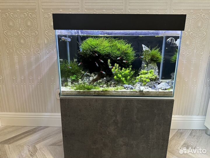 Аквариум