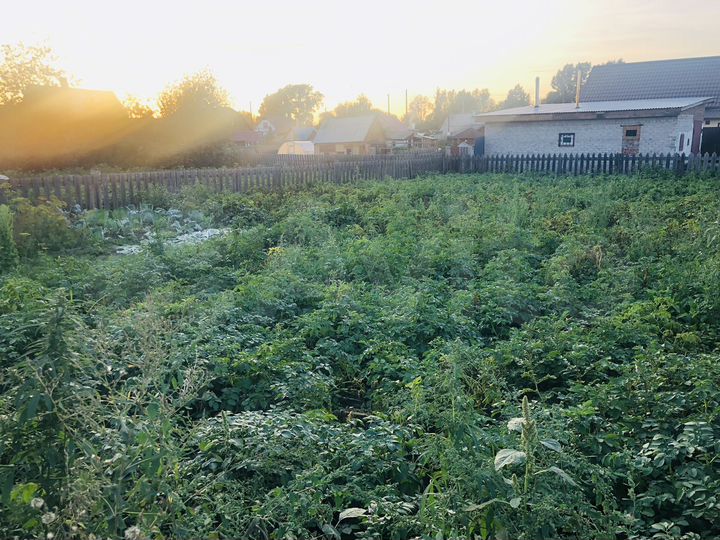 Дом 48 м² на участке 6 сот.