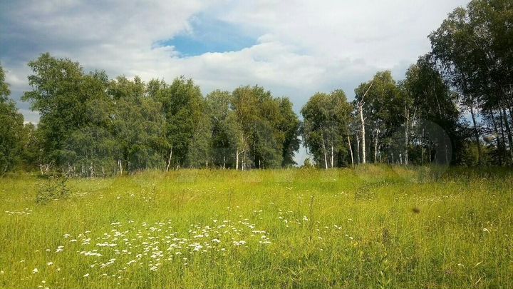 Участок 7,5 га (СНТ, ДНП)