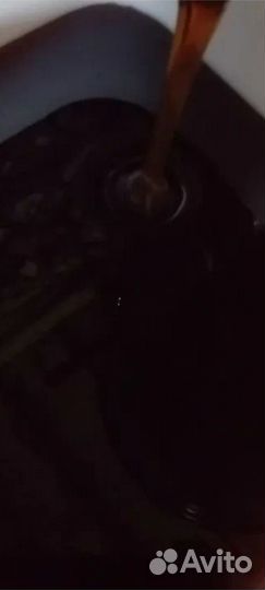 Мед гречишный 2023г отправка по РФ