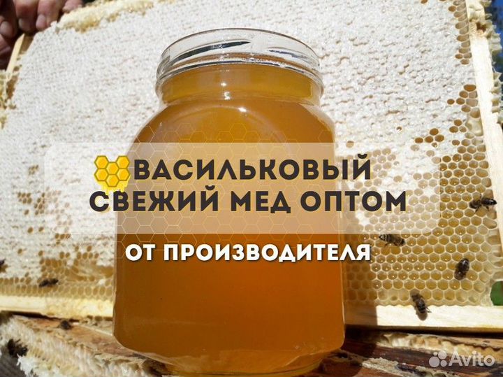 Мёд васильковый оптом