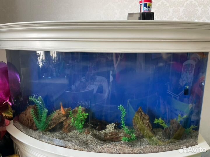 Панорамный Аквариум с тумбой 330л б/у Adp классика