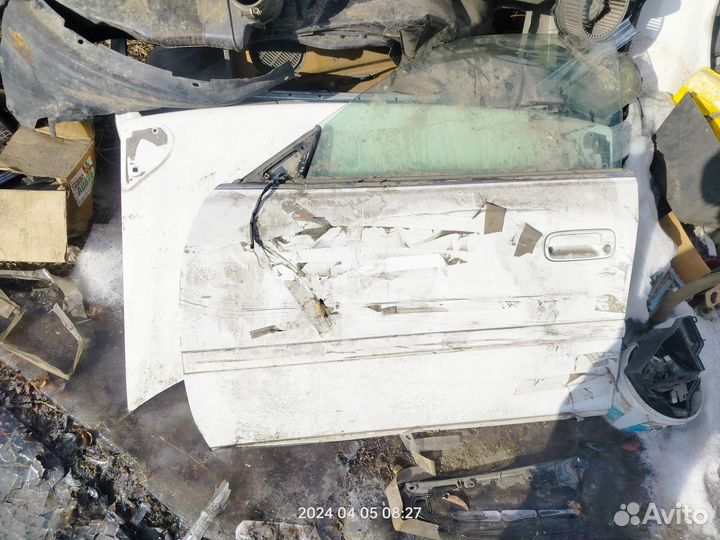 Двери Чайзер 100