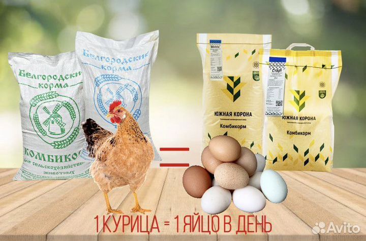 Комбикорм «Южная корона» и «Белгородские корма»