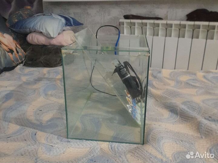 Аквариум