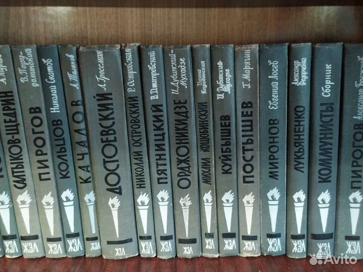 Книги из серии жзл