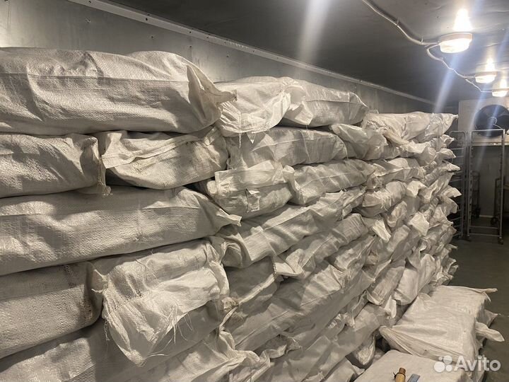 Ряпушка с/м