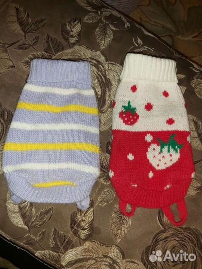 Кофточки для собачки