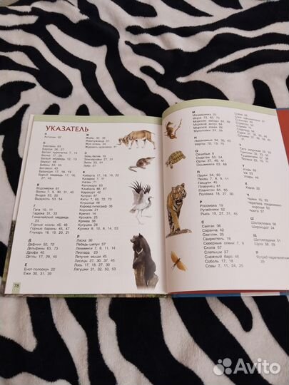 Детская энциклопедия Животные России