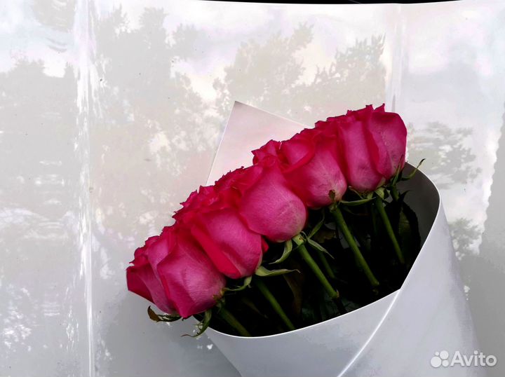 Розы, букет цветов, 101 роза. Розы опт