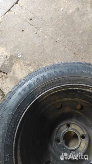 Nokian Tyres Hakkapeliitta 7 175/65 R14