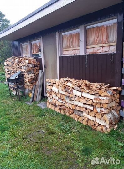 Дрова береза
