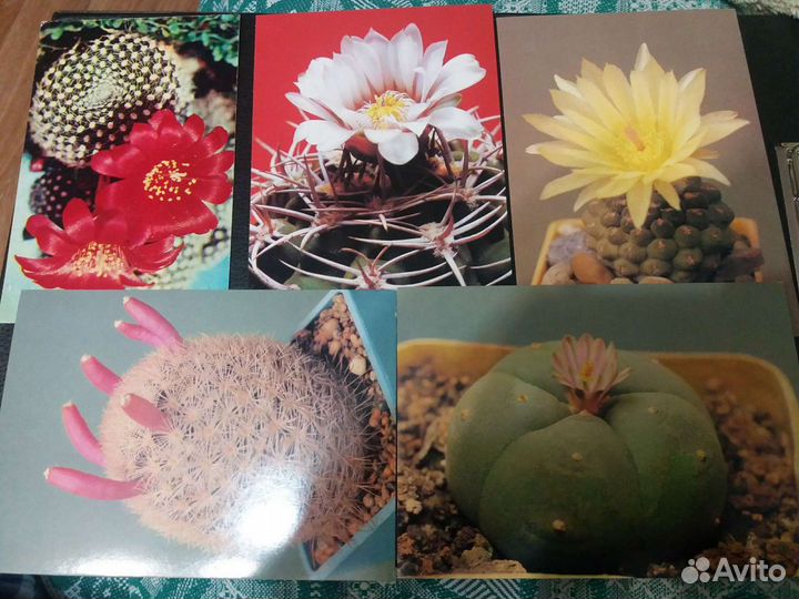 Тематические наборы открыток.винтаж