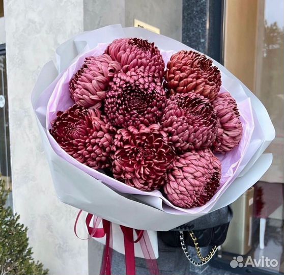 Одноголовая хризантема с беспл. доставкой