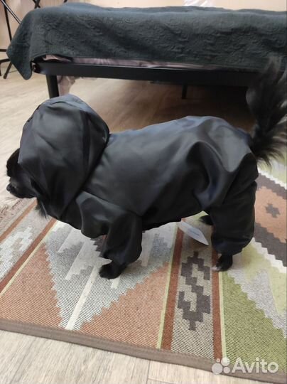 Комбинезон для маленькой собаки