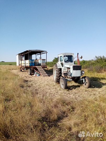 Пасека