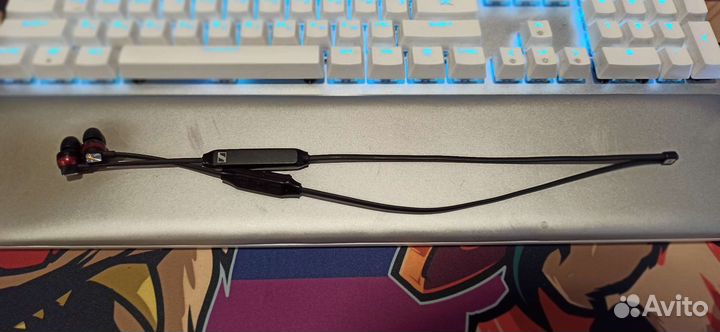 Беспроводные наушники Sennheiser CX 120BT