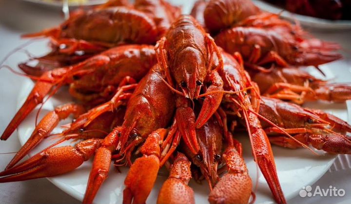 Живые и вареные раки. Доставка