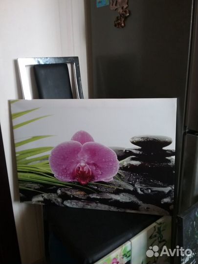 Новые картины 