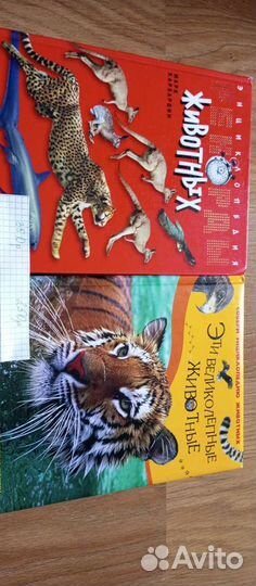 Детская энциклопедия