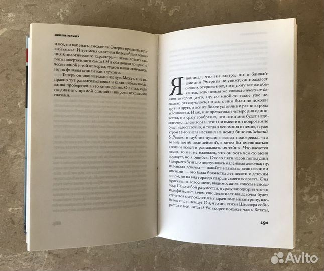 Мишель Уэльбек