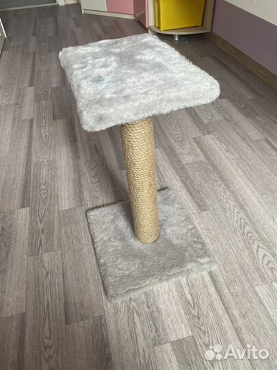 Когтеточка для кошек
