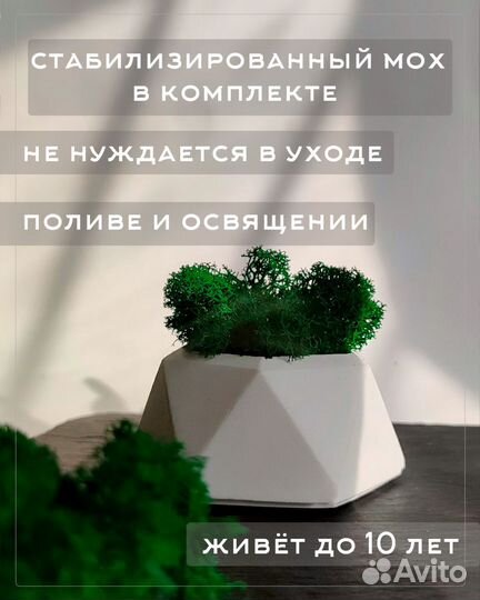 Гипсовое кашпо+ стабилизированный мох