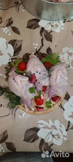 Мясо перепелов