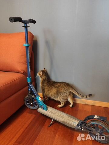 Самокат Tech Team Lux 210