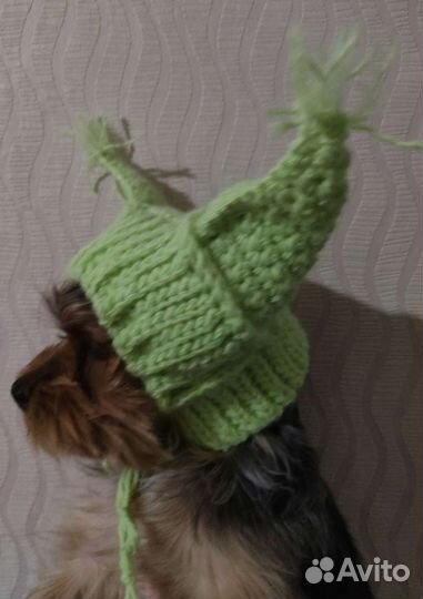 Комплект одежды шапка и жилет для собаки