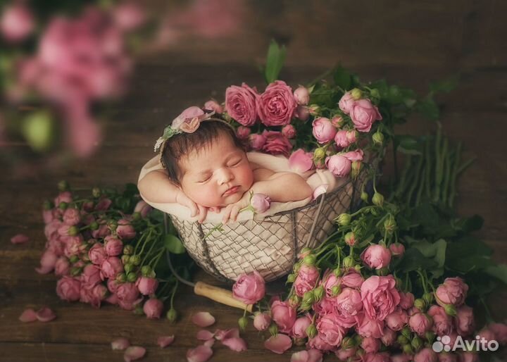 Фотограф новорожденных newborn