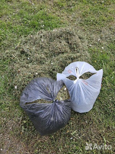 Сено разнотравье