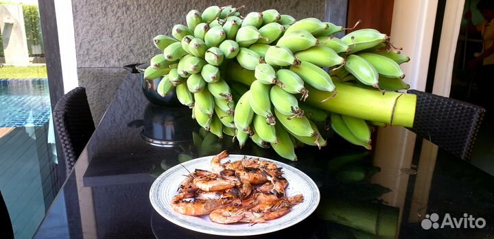 Банановые пальмы в ассортименте