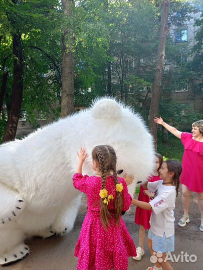 Белый мишка на праздник