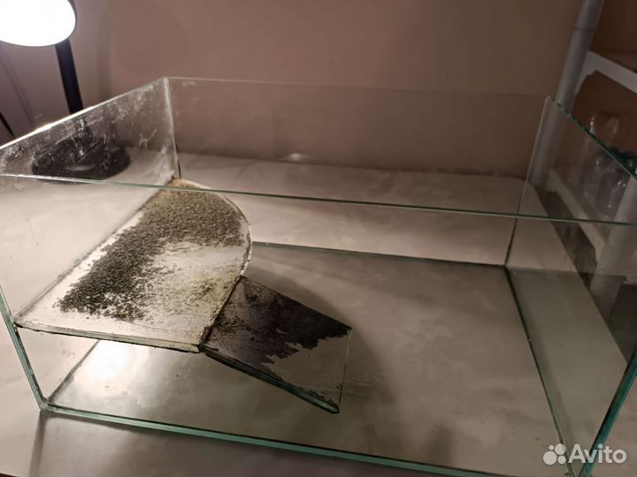 Террариум для черепахи