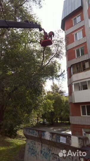 Спил/кронирование деревьев