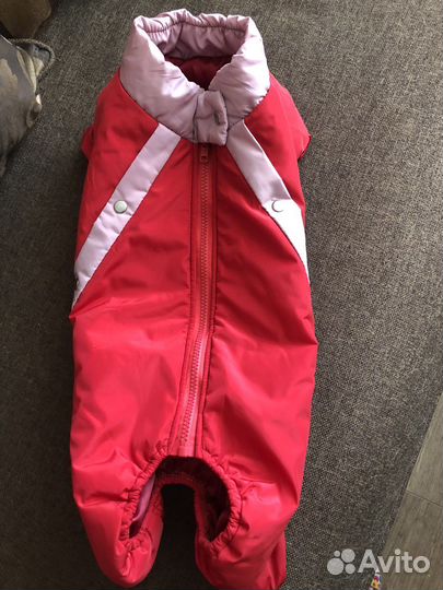 Комбенизон для таксы