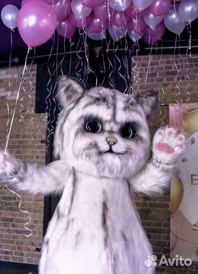 Ростовой кот Мажор