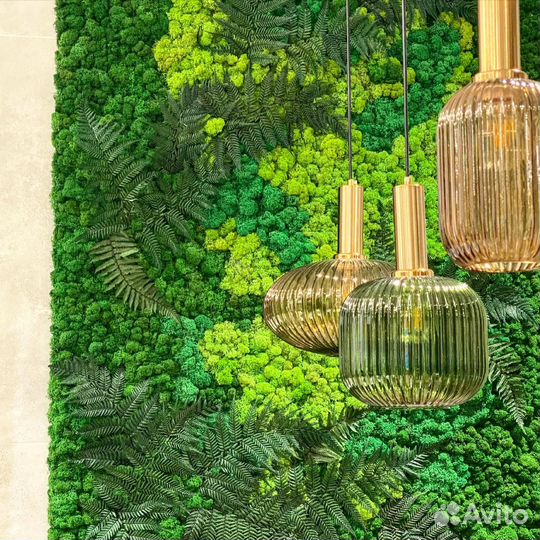 Уход за комнатными растениями