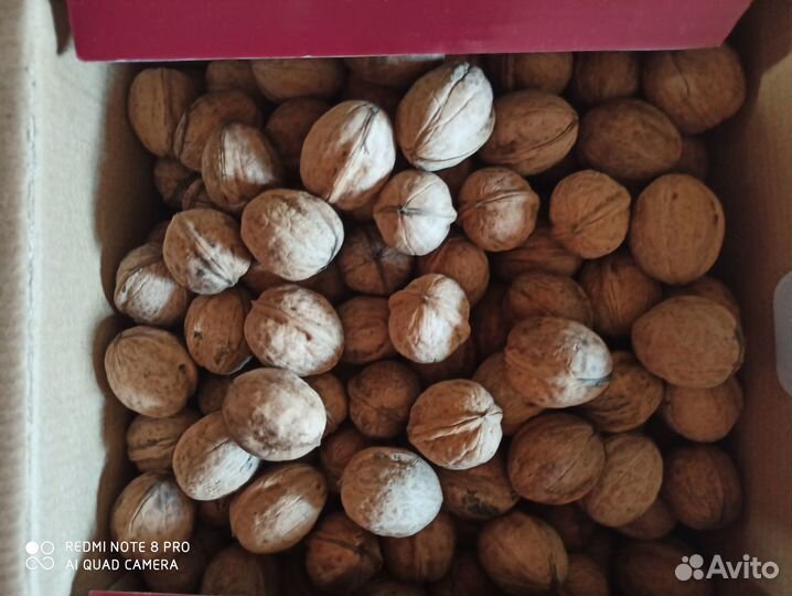 Грецкий орех