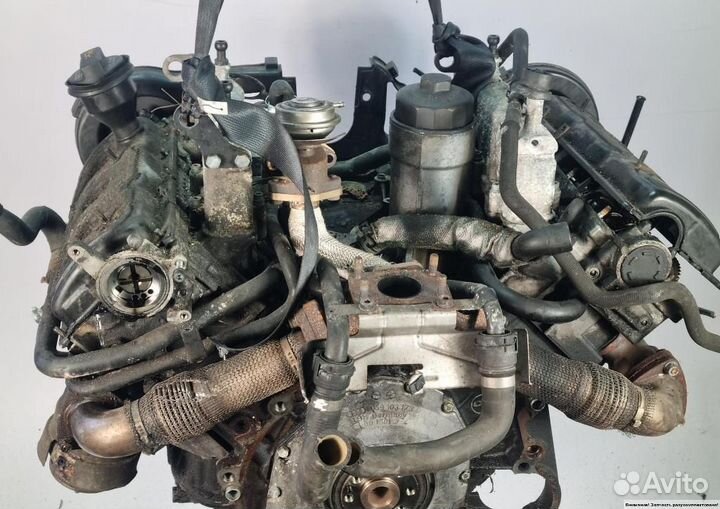 Двигатель Audi A6/RS6/S6