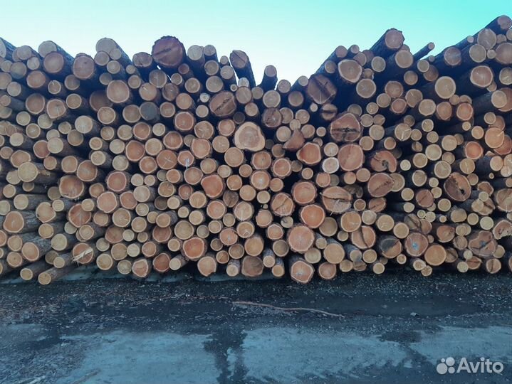 Пиловочник Лиственницы