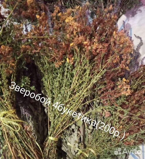 Целебные травы