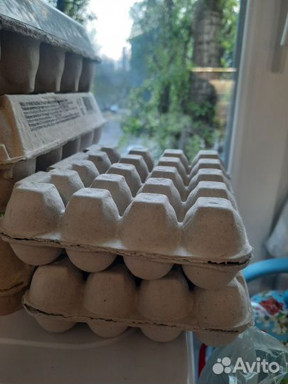 Коробки для перепелиных яиц