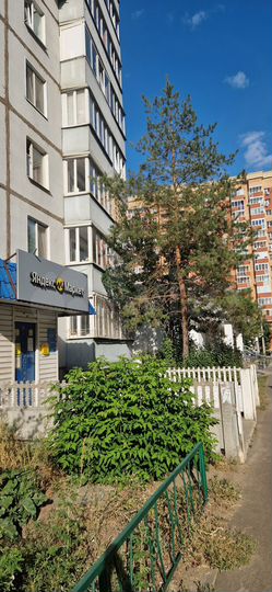 Торговая площадь, 23 м²