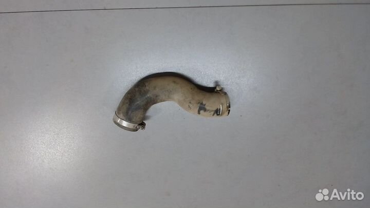 Патрубок интеркулера Ford Focus 3, 2018