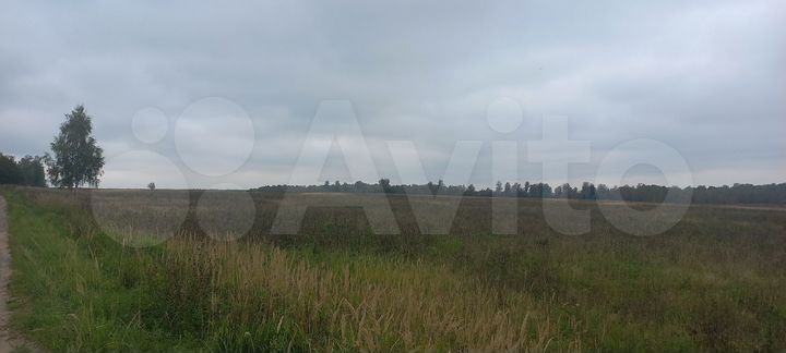Участок 13,4 га (ИЖС)