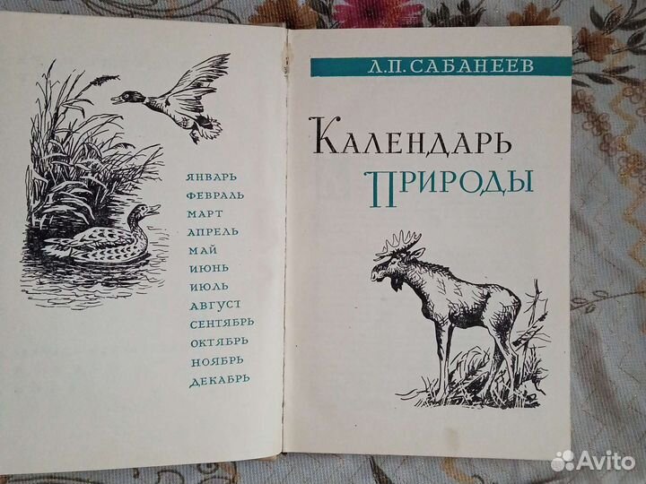 Л. П. Сабанеев 